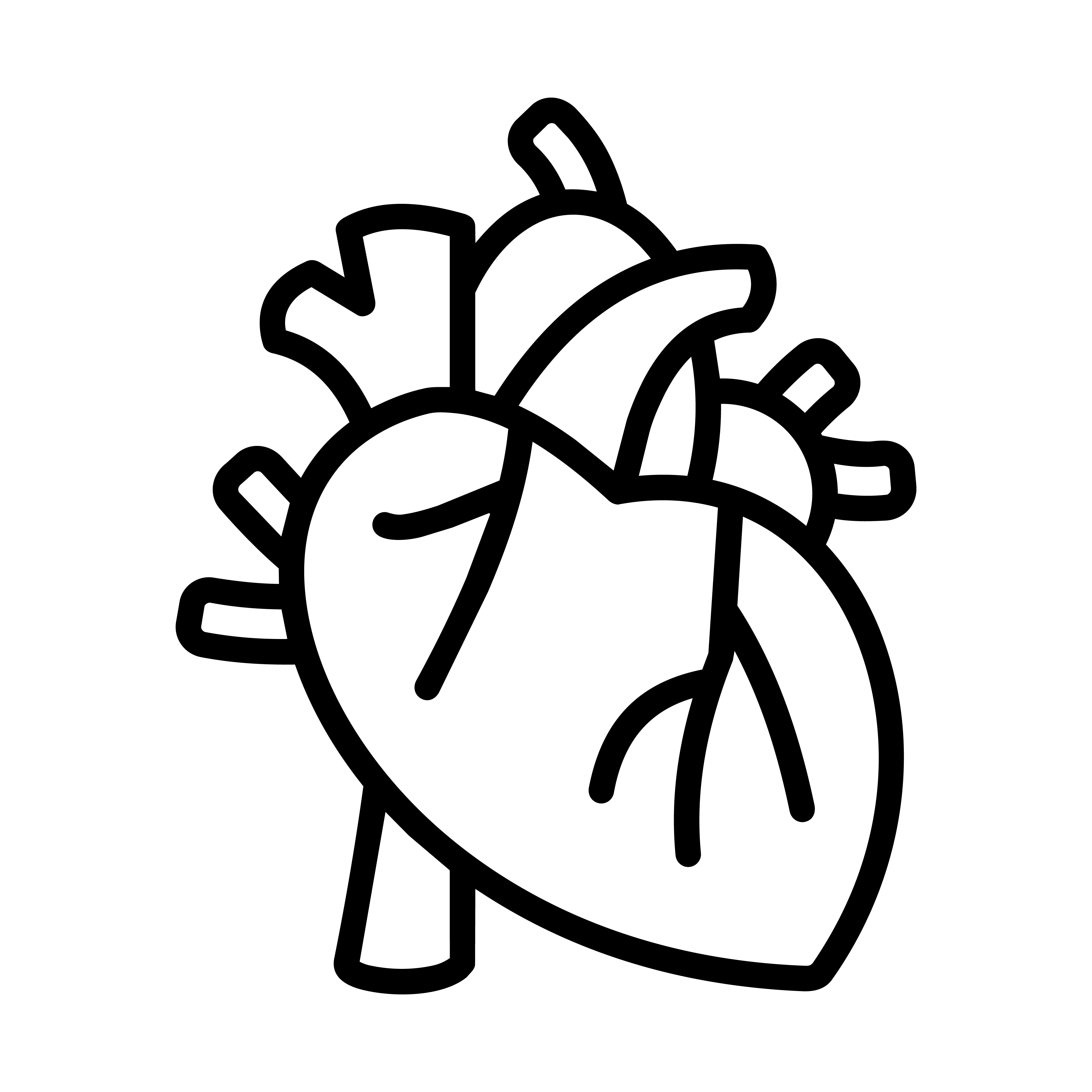 Cardia Division