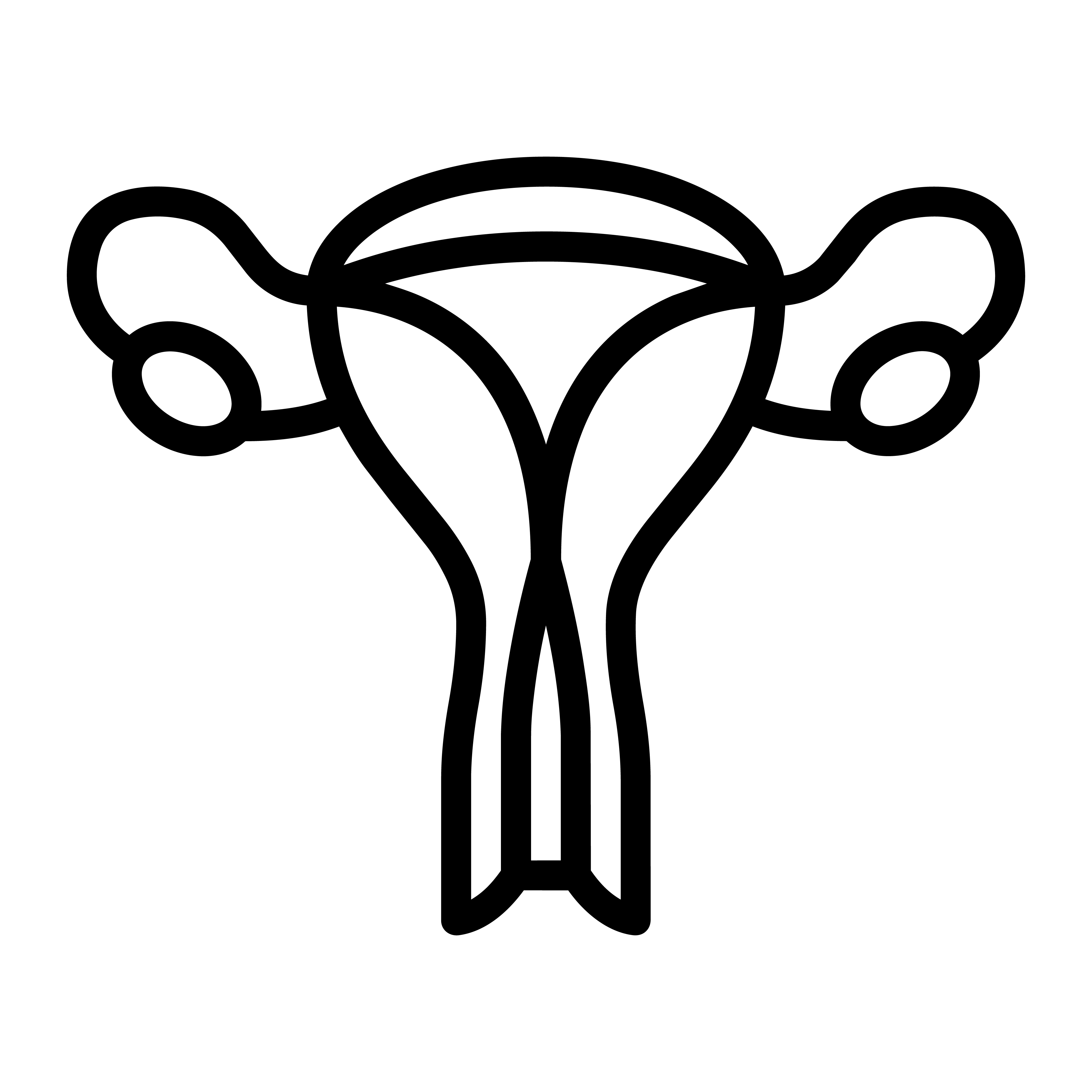 Gyna Division